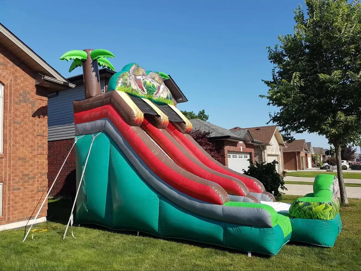 Dino Slide Dry Only
